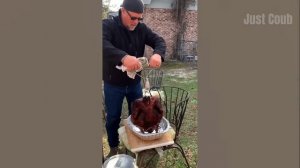 Лучшие смешные видео недели 😸