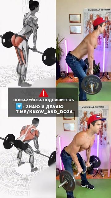 🔥 ТОП 2 Упражнения на спину и ягодицы со штангой или г?