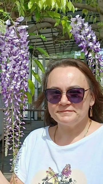 Вы только посмотрите...цветение Глицинии. От такой кра? смотреть онлайн