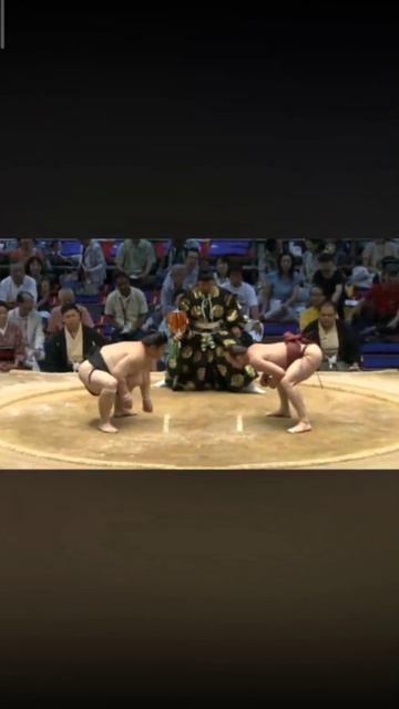 Самый лёгкий сумоист в истории сумо #japan #sumo #sport #сумо #я