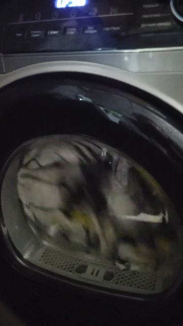 сушильная машина Haier смотреть онлайн