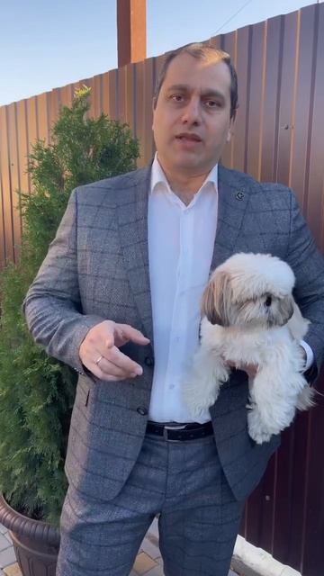 Что нужно знать для анализа отчетности компаний? смотреть онлайн