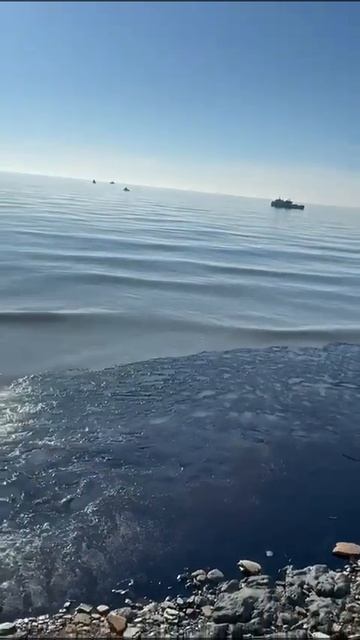 Краснодарский край. Море загажено российским мазутом! смотреть онлайн