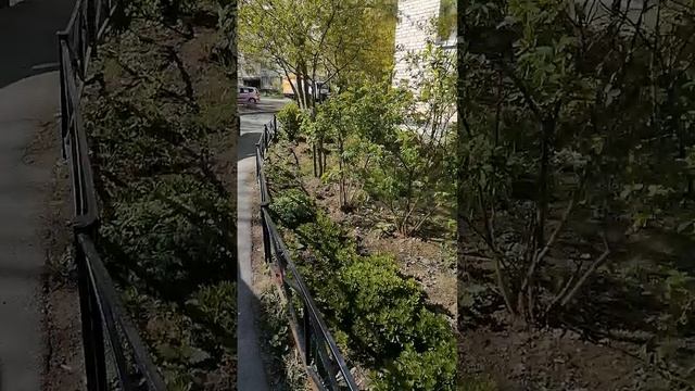Погодка шикардос в районе улицы Александры Коллонтай