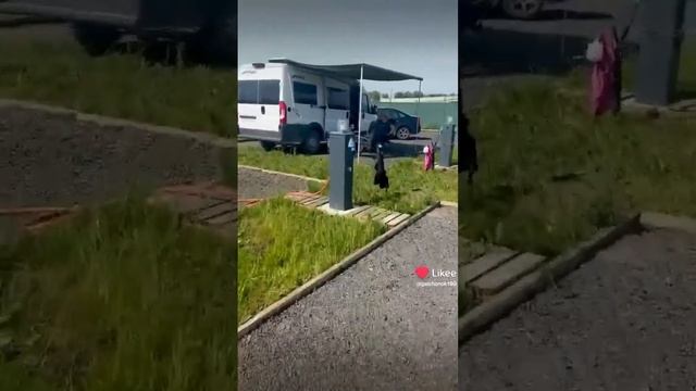 Кемпенг ferm village в Воронеже неожиданное открытие для на смотреть онлайн