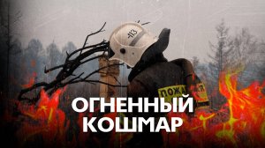 Убегали от огня лесом. Истории жителей Смоленки после страшного пожара.