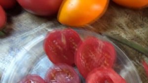 Томат Минусинский засолочный - урожайный, выносливый и неожиданно вкусный! Обзор сорта и дегустация.