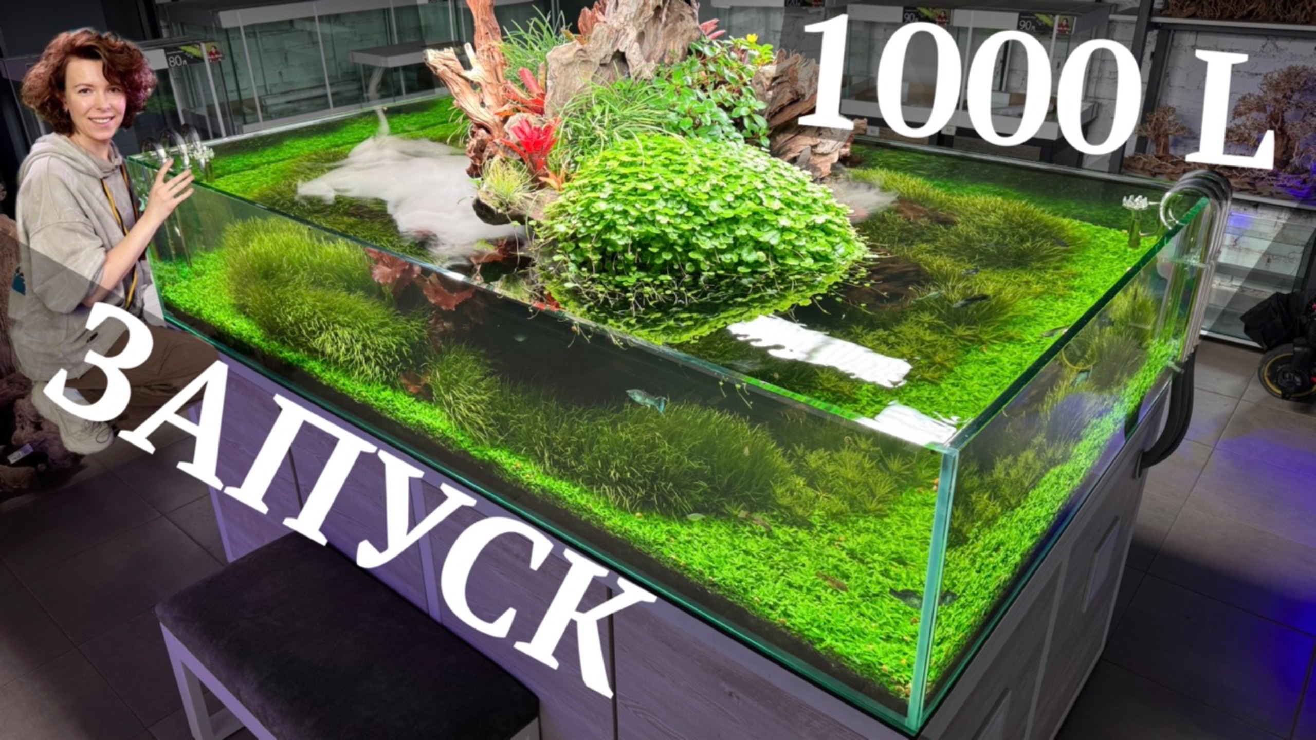 АКВАРИУМ 1000 Л ЗАПУСК | Декорации для аквариума | Высадка растений | Маша Блюм смотреть онлайн