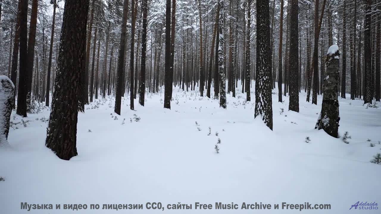 Включите и почувствуйте, как падают снежинки! - Celebration -- Scott Holmes Music -- Inspiring Backg