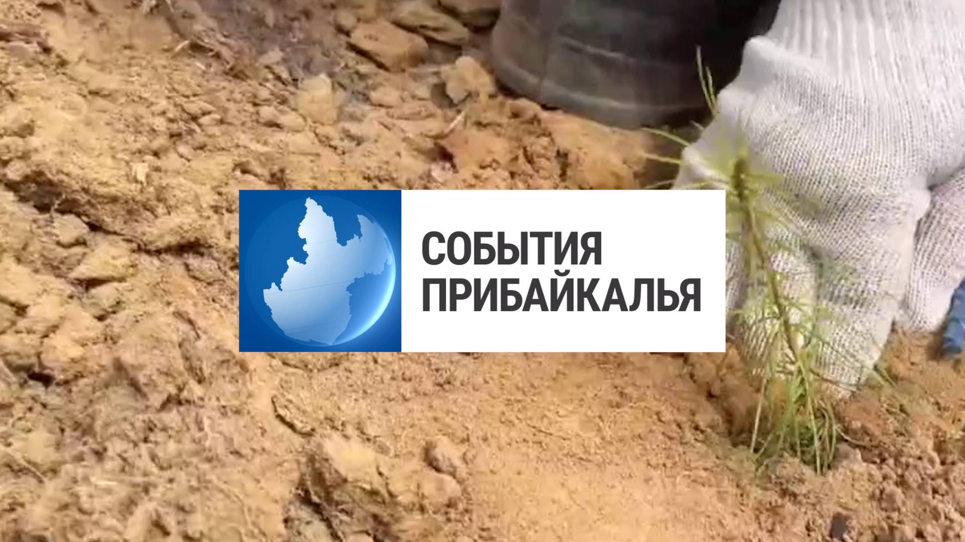 События Прибайкалья от 12.05.2025 | «Сад памяти» | Презентация альбома | Праздничный транспорт