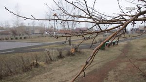 В Гирометцентре дали прогноз погоды в Братске на эту неделю