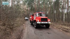 В Нижегородской области введён особый противопожарный режим