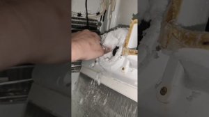 холодильник hotpoint-ariston 7 лет, не работает холод-ое отдел?