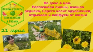 На даче 4 мая. Распознали пионы, взошла редиска,Серега косит одуванчики,отдыхаем и кайфуем от жизни