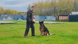 Марвил Юнион Тайфун 🌀