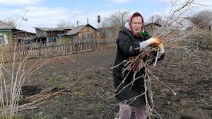 12-05-2025 работа в огороде продолжается