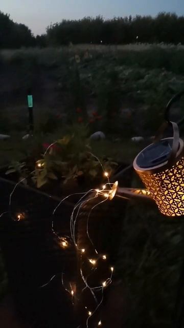 6 июля 2024 г. Садовые светильники. смотреть онлайн