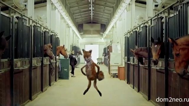 Упоротый лис смотреть онлайн