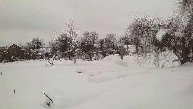 зимовка метельчатых гортензий 15 12 24 смотреть онлайн