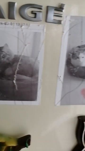 наклейки на холодильник❤️ смотреть онлайн