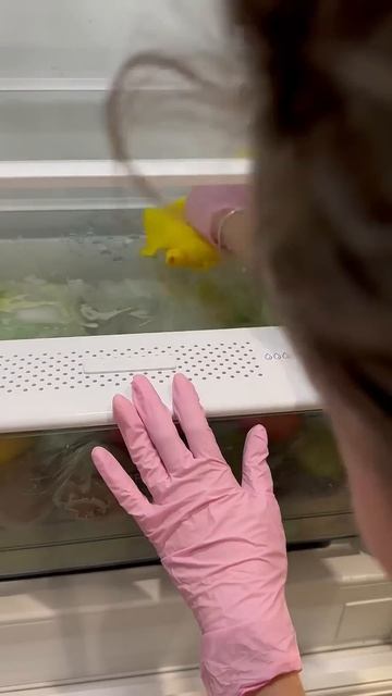 СЕКРЕТ ДЛЯ ХОЛОДИЛЬНИКА #рецепты #ремонт #юмор #уборка смотреть онлайн