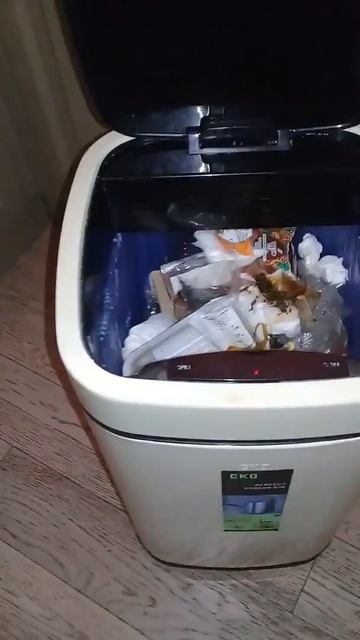 Помойное ведро с интелектом смотреть онлайн