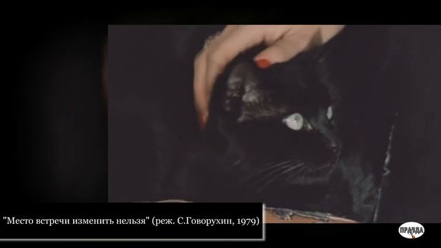 Упс...   «Русский шансон»  - это еврейский блатняк, так утверждают еврейские деятели культуры (2017
