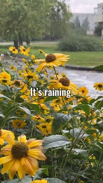 Про погоду на английском. #английский #минутаанглийск? смотреть онлайн