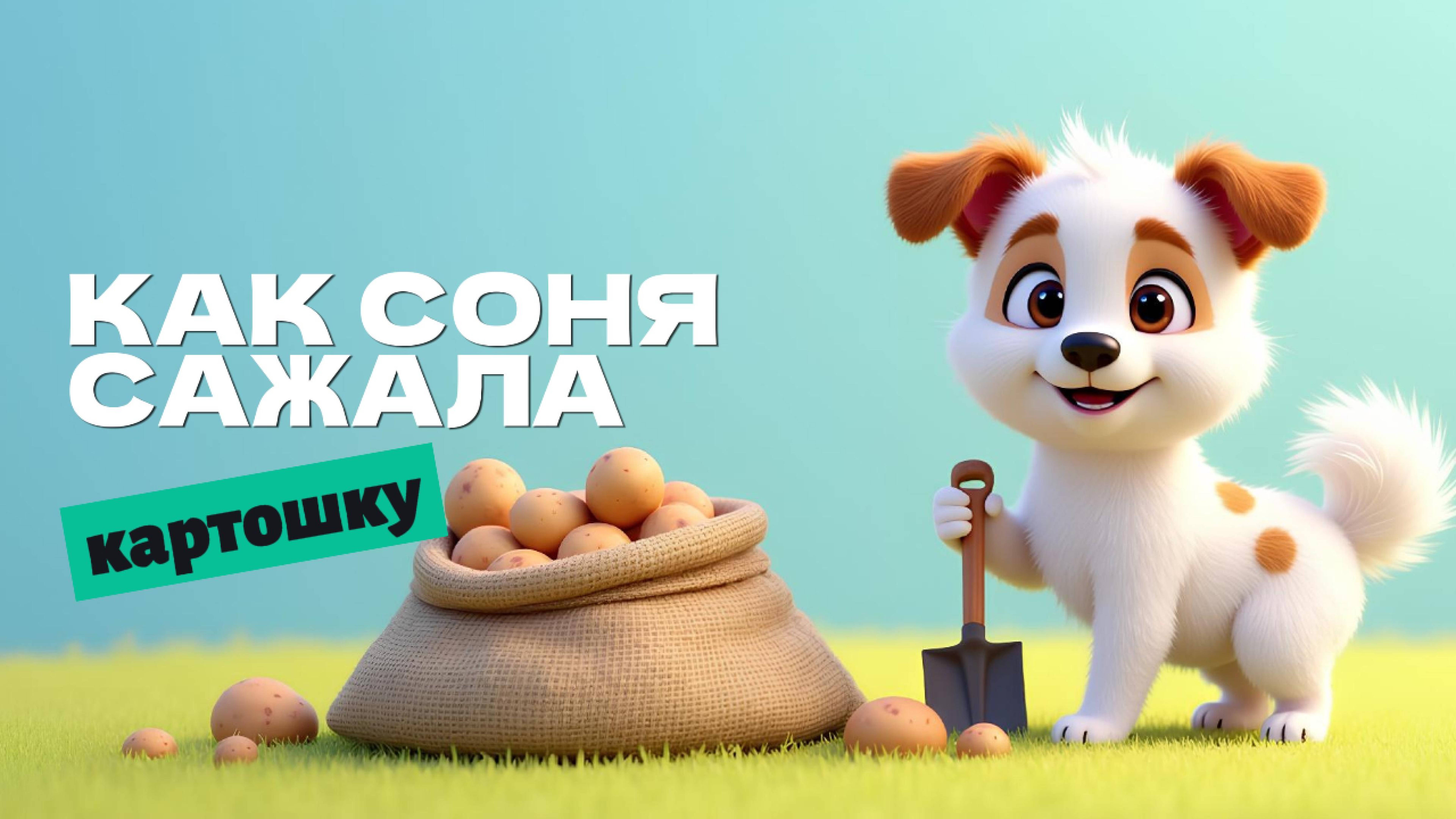 Как Соня сажала картошку — мультфильм про собачку Соню🥔🐶
