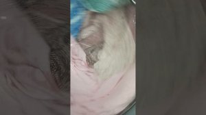 стирка на стиральной машинке electrolux постельного белья