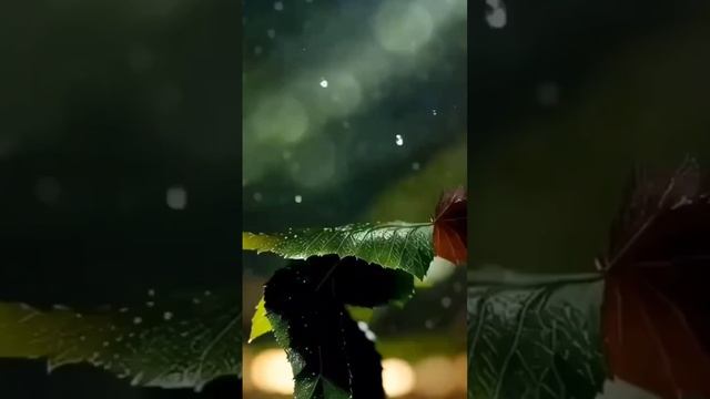 Не забывай! #музыка #счастье #малахов #тв смотреть онлайн