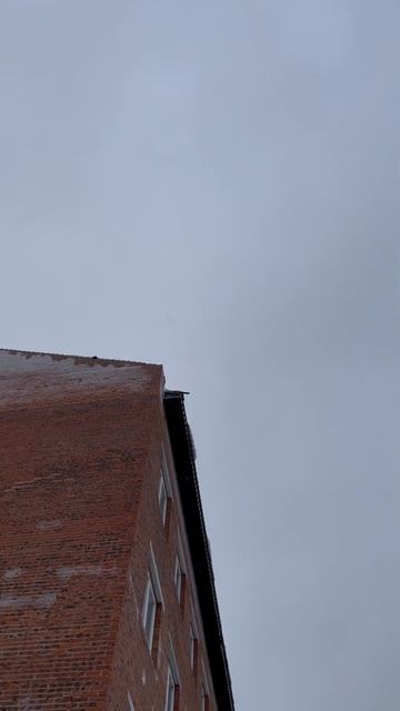 #Сургут 25.12.2023 погода маленько сума сошел 🤣 #respect ‼️‼? смотреть онлайн