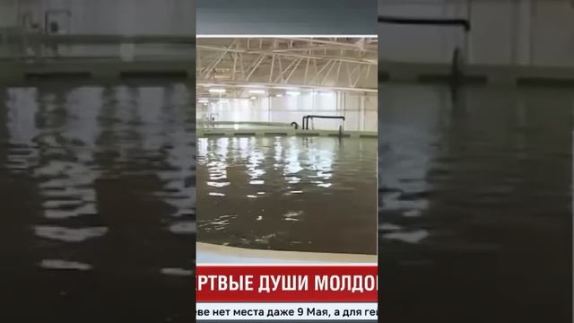 Нормальный экономический климат в Молдове должен быт? смотреть онлайн