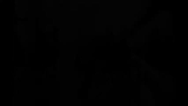 Арабески 25 лет. Светлана Даниленко