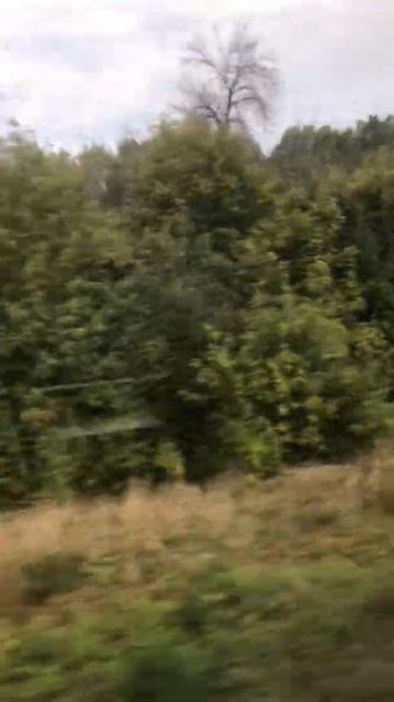 Краснодар - Вологда дорога домой смотреть онлайн