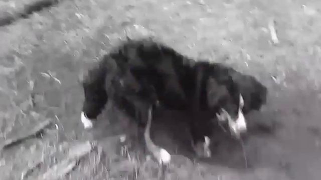 Шок... нашли клад(^=^)!!! смотреть онлайн