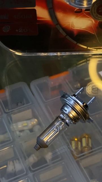 LED ЧИ ГАЛОГЕН? ОБРИАЄМО СВІТЛО НА ВАШЕ ВАТО!