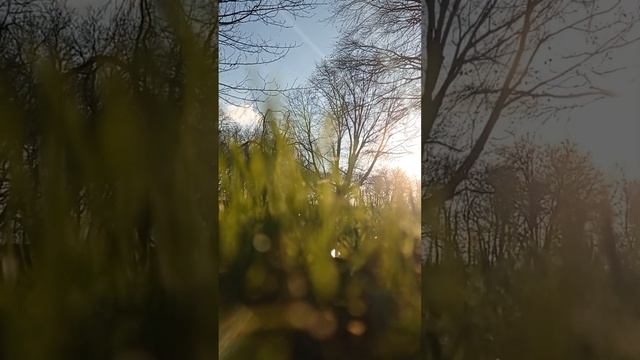 ПЕТЛЯ ВЕНЕРЫ ♀️ ЧТО ПРИНЕСЁТ? РЕТРОГРАДНАЯ  ВЕНЕРА