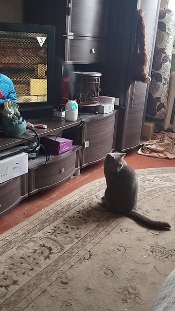 наблюдение за увлажнителем смотреть онлайн