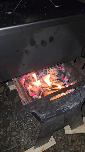 Курдючок копчёный (Гисарский) 😋 #курдюк #овцы #гисар #ч смотреть онлайн