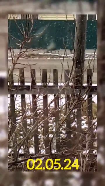 #Маслово #погода #snow #чудо #ТатьянаЯ #весна смотреть онлайн