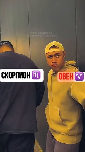 Овен vs. Телец, Скорпион, Козерог: Кто победит? #юмор #го? смотреть онлайн