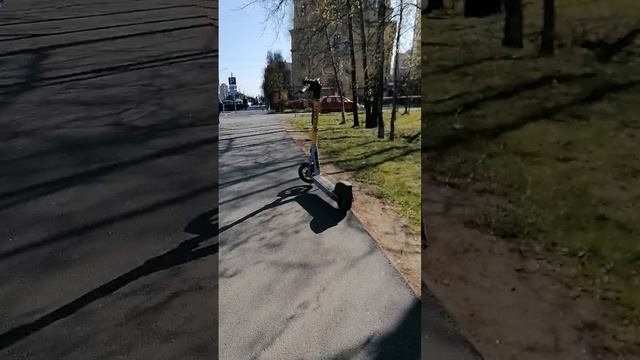 Погода в Санкт-Петербурге на улице и звонят Колокола