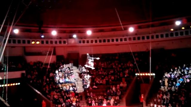 The National Circus of Ukraine Слон и полосатый рейс смотреть онлайн