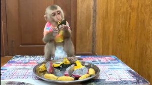 Обезьянка игривая оделась еле еле Попрыгалаи фрукт поела Нас посмешила