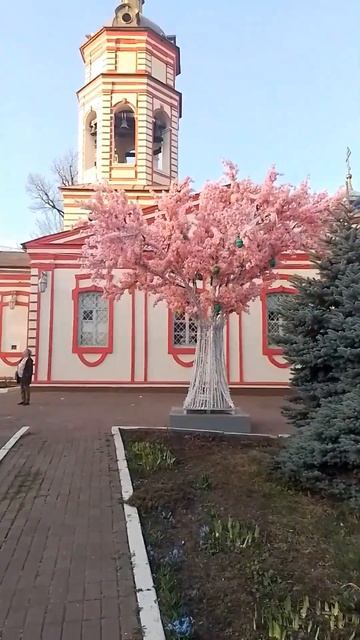 Погода в Москве 16 апреля 2025 года #погодавмоскве #погод?