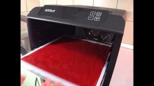 Топ-1.Дегидратор-сушилка Kitfort KT-1905#Пастила в домашних у?