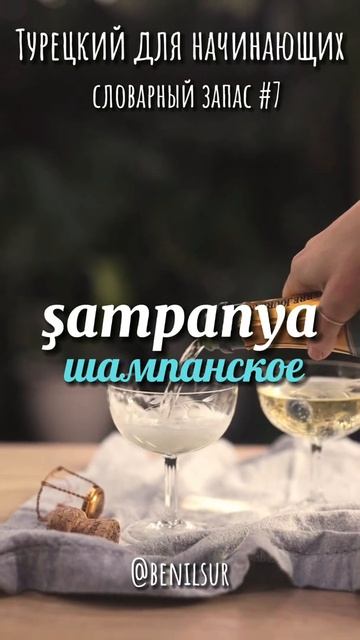 Турецкий для начинающих. Словарный запас ч.7 #турецкий? смотреть онлайн