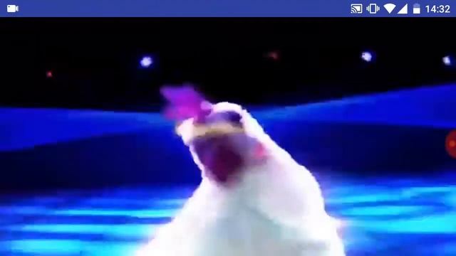 Прикол с курицей смотреть онлайн