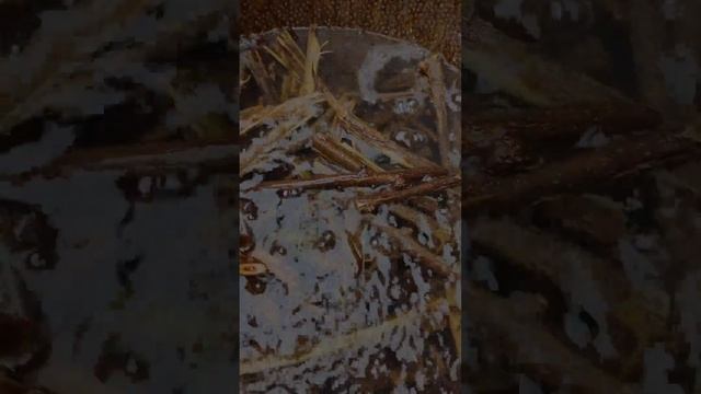 Ван Чжимин. Бумага по древней технологии китая